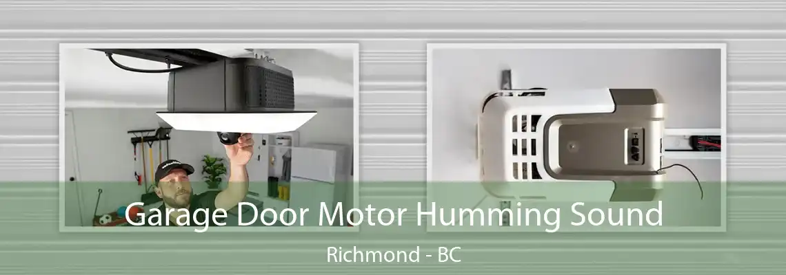 Garage Door Motor Humming Sound Richmond - BC