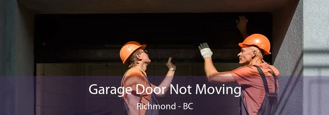 Garage Door Not Moving Richmond - BC