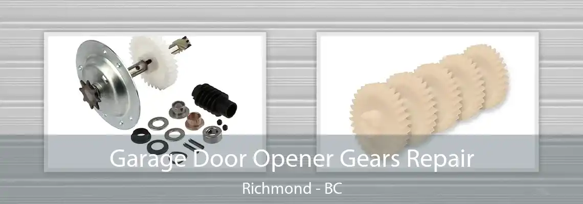 Garage Door Opener Gears Repair Richmond - BC
