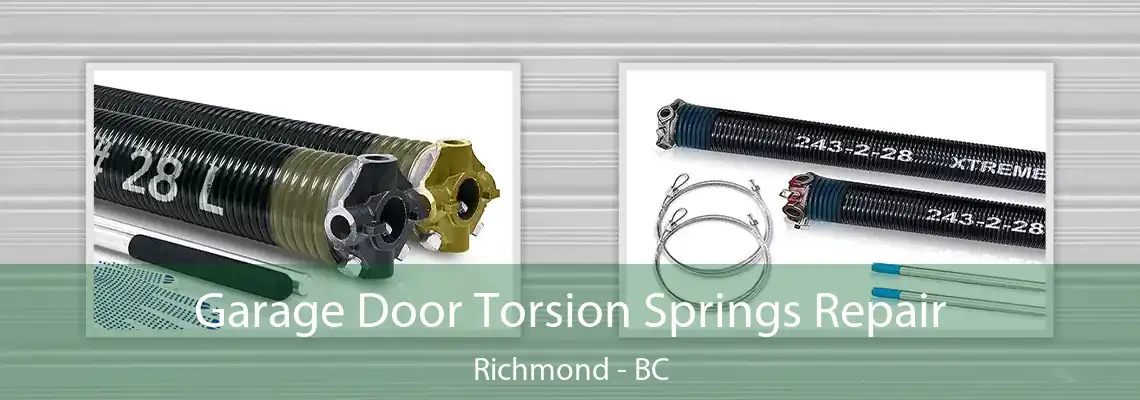 Garage Door Torsion Springs Repair Richmond - BC