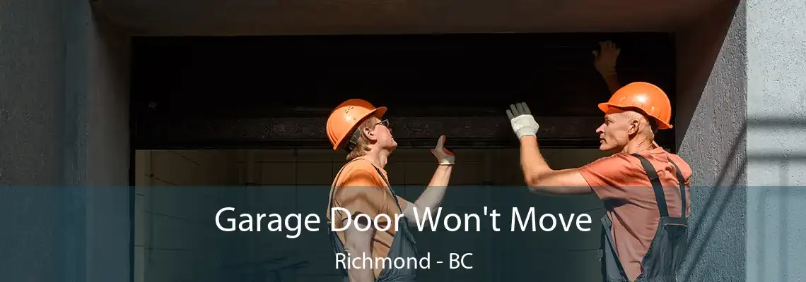 Garage Door Won't Move Richmond - BC